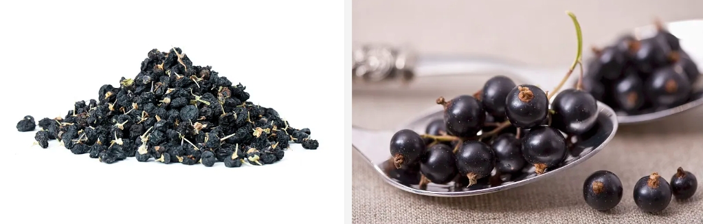 Blackcurrant Powder1.jpg